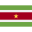 Flag Icon
